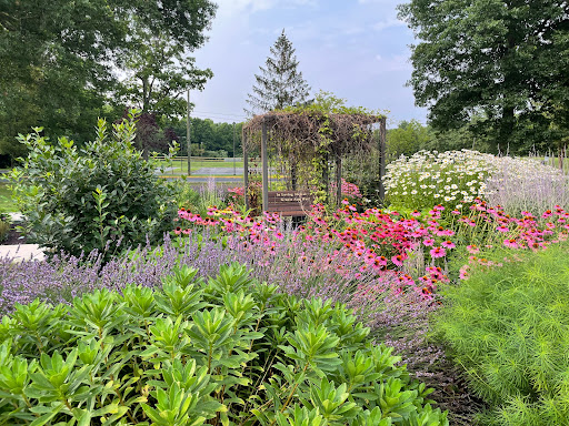Lawrence School - Visual