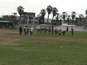 Peruvian Sports Institute 0