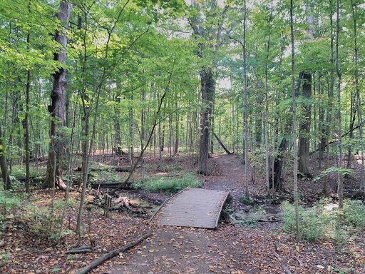 Maybury State Park Gallery - United States