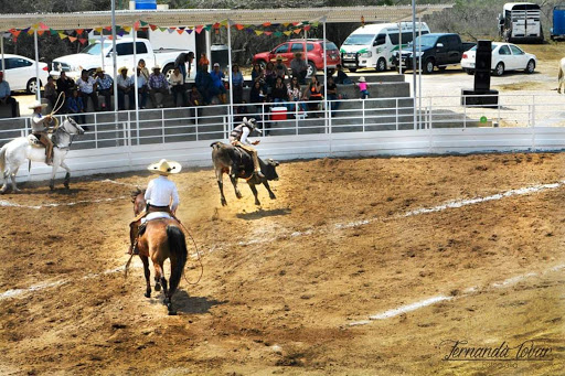 Lienzo Charro Santa Rosa