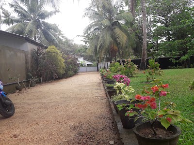Photos of Blue Fox Holidays