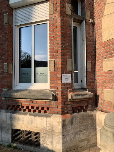 Avatar par défaut pour Artémis Courtage Amiens Et Assurance Emprunteur