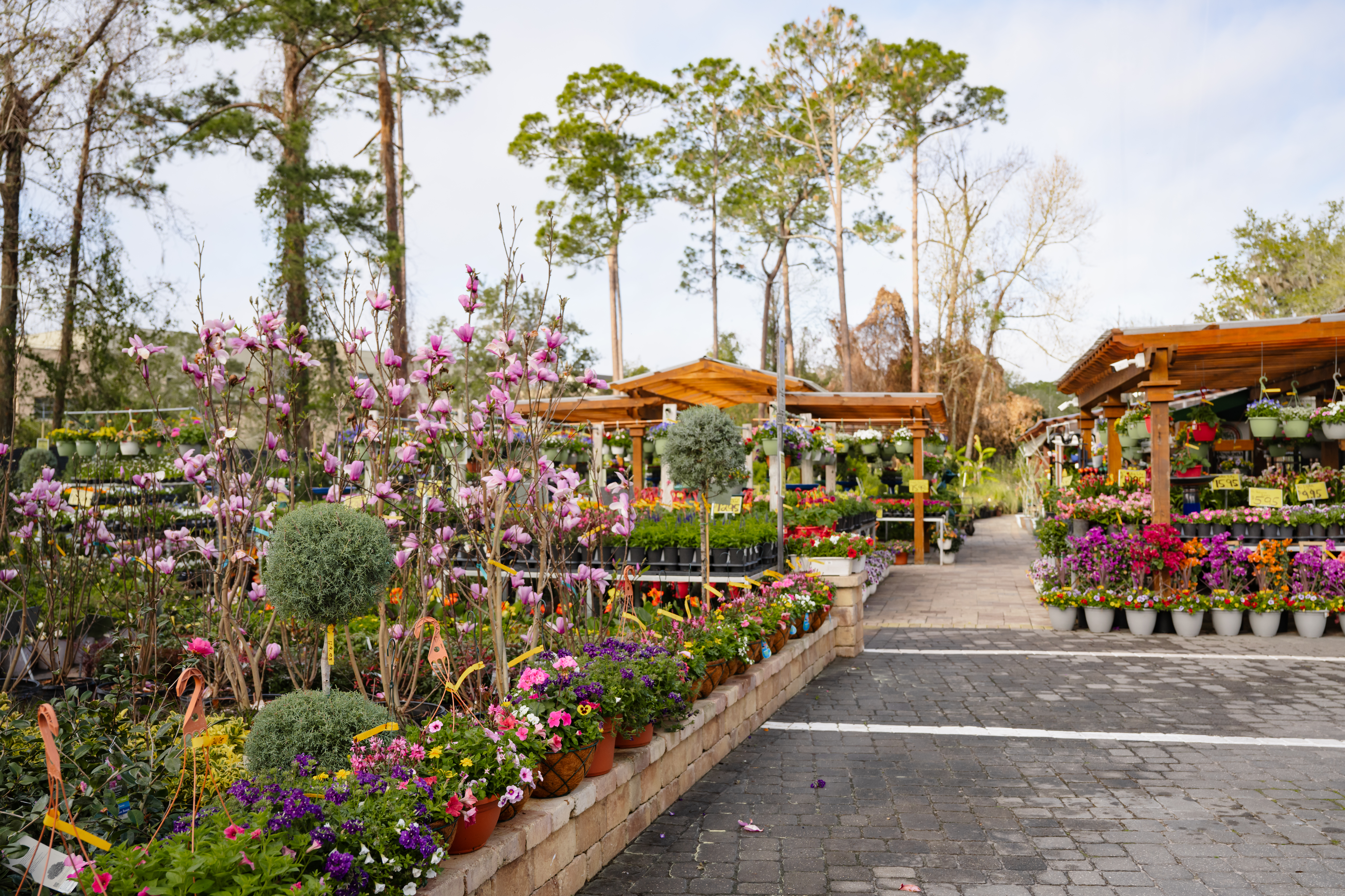 Pat's Nursery Inc