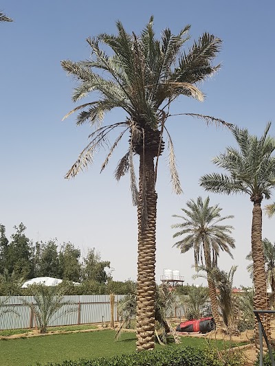 Photos of Rest Adnan Al-Shatti