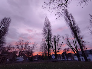 Photo n°16 de Au cœur du patrimoine - Leila Kopff visites guidées à Erstein (Service de visioconférence)