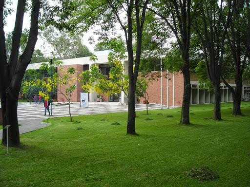 Dr. Jorge Villalobos Padilla library S.J. - Thumbnail