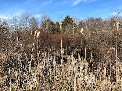 Pistol Creek Wetland Center