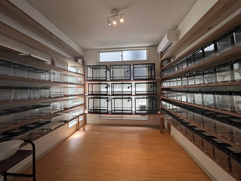 ファニーテール福岡店