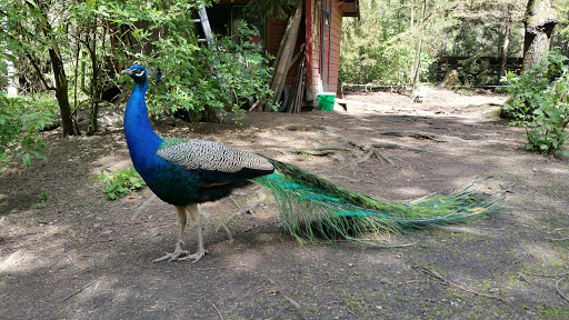 Osteroder Vogelstation - Visual