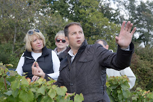 Photo n°17 de Bourgogne Gold Tour à Beaune (Agence de visites touristiques)