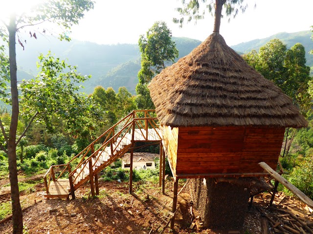 Agandi Uganda Eco-lodges Bwindi National Park