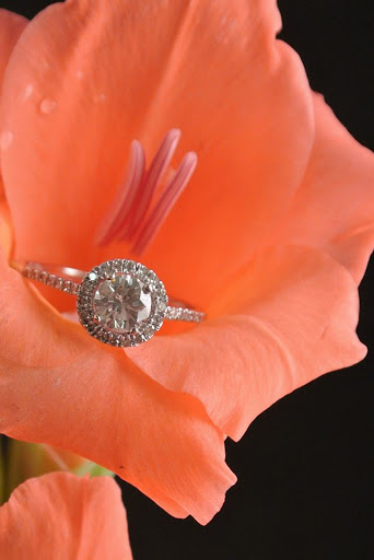 Rings 'N Things - Thumbnail