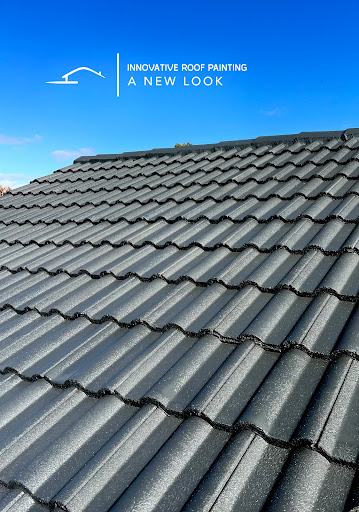 Innovative Roof Painting