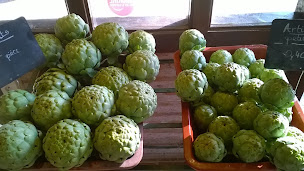 Photo n°3 de La Ferme des Tuileries à Fongrave (Primeur)
