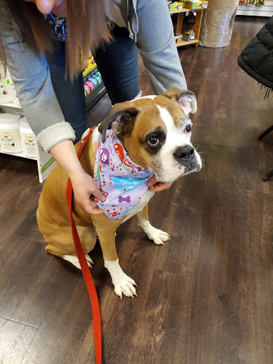 Healthy Pet Products - Thumbnail