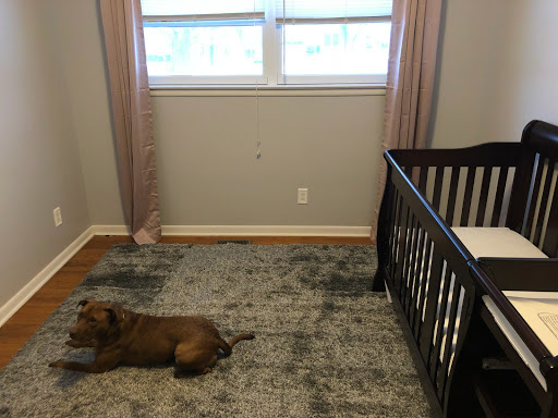 Howard's Home Painting LLC - Thumbnail