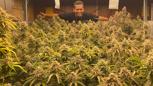 Fillgood Cannabis Shop