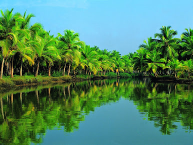 Af1qipmearargzx5fpvbctofzlg5wmd0ecnxknkjimel=s386 K No