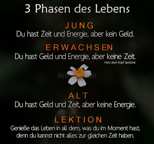 BliefertDerFriseur - Visual