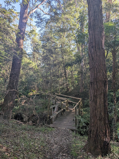 Rapanea Community Forest - Thumbnail