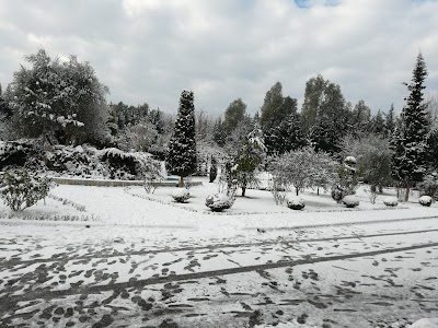 SALUS Spitali Italian - Tirana