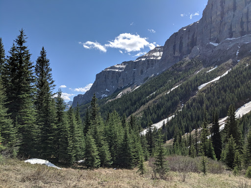 Aylmer Pass Junction Campground - Thumbnail