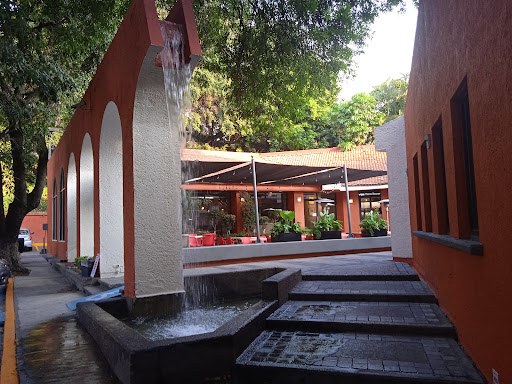 Vips Cuernavaca Centro - Thumbnail