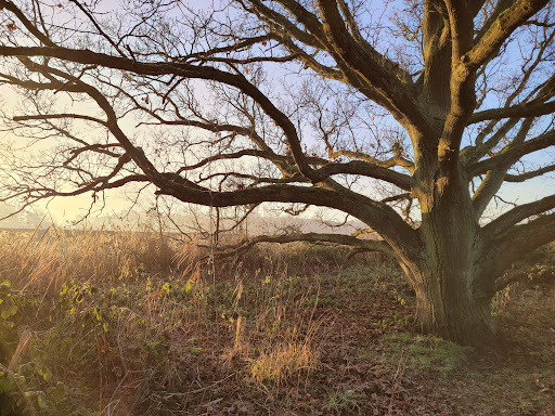Melton Riverside - Thumbnail