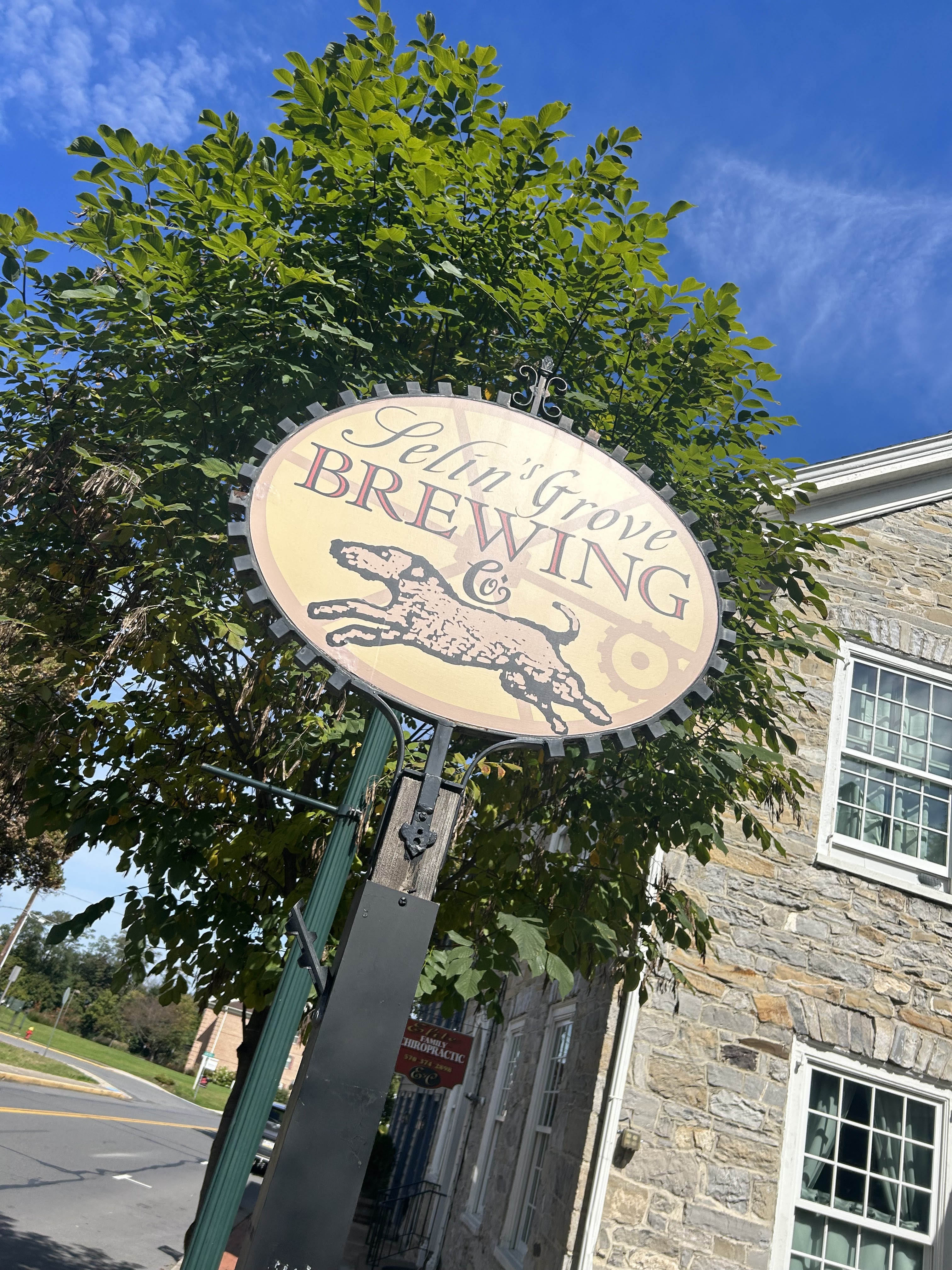 Selin's Grove Brewing