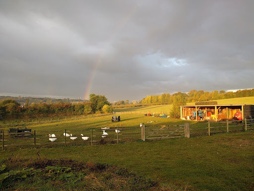 Little Fant Farm