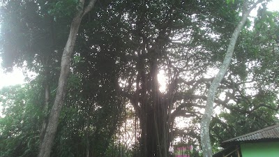 Photos of Chompa Maar Darga