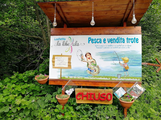 Laghetto "la Libellula" pesca alla Trota e vendita Trote - Donato Biella - Thumbnail