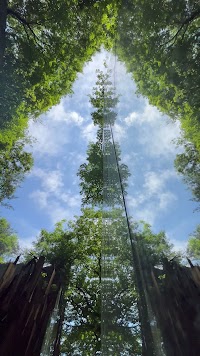 元気炉 六号基 ｜AZUMAYA