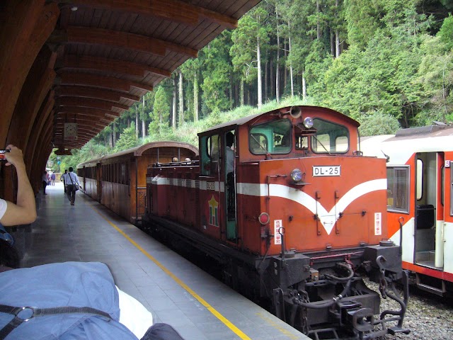 Alishan National Scenic Area