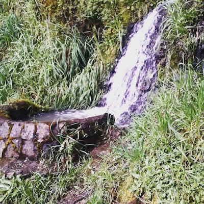 Photos of Gruta de la Virgen de Lourdes Cerro &Ntilde;ielol