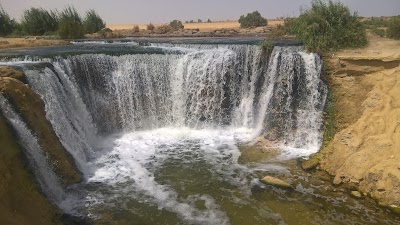 Photos of Maestro Online Travel Egypt ( Site: www.egyptonlinetours.com )