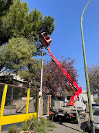 Reinhard élagage 94 à Sucy-en-Brie