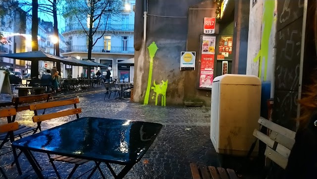 Le Chien Stupide