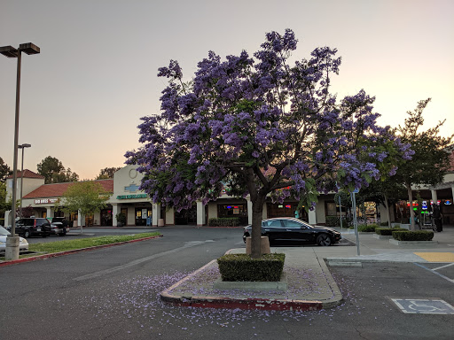 Bailey Park Plaza Shopping Center Gallery - United States