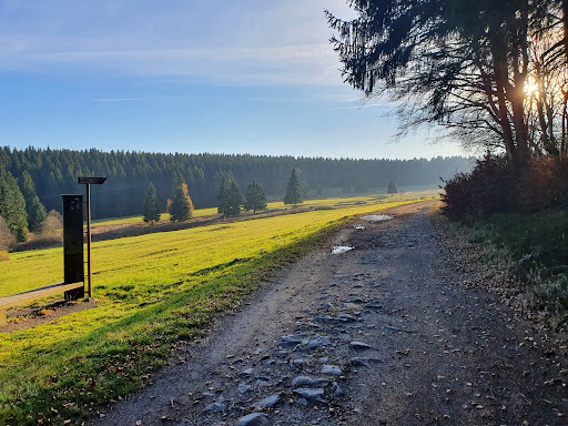 Ebertswiese - Thumbnail