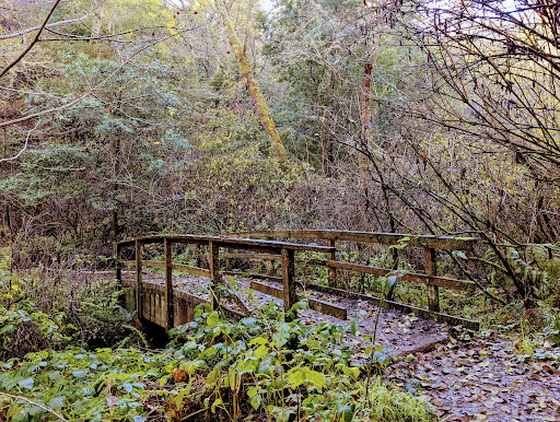 Olema Valley Trail - Thumbnail
