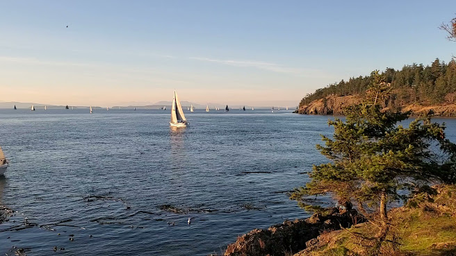 Lime Kiln Point State Park by null