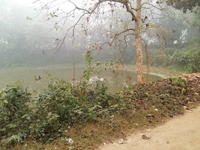 Photos of Gokulkhali High School Pond