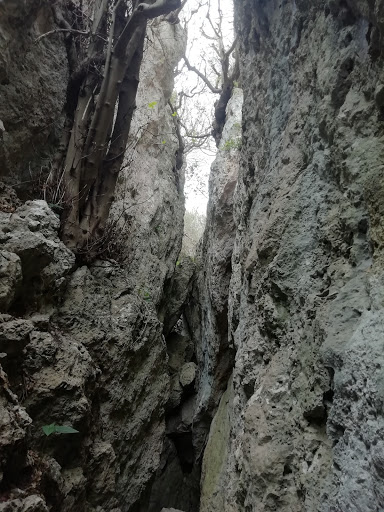 Spacco degli ulivi - Thumbnail