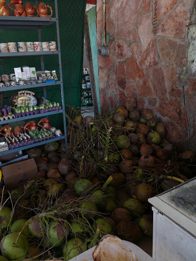 Cocos iker Gallery - Mexico
