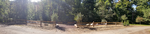 Adam Mansuri Memorial Butterfly Garden - Thumbnail