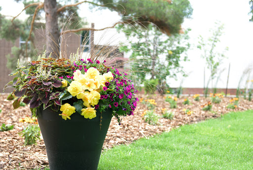 Lakeland College Arboretum
