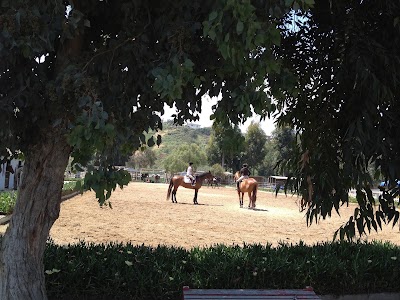 Photos of Rancho El Camino Equestrian - Horse Boarding and Lessons
