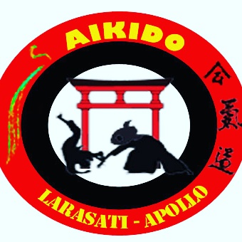 Beladiri AIKIDO Larasati, Author: Ernesto Liubei