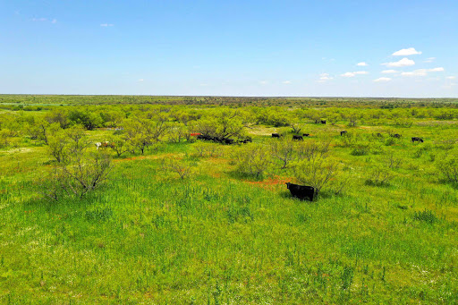 Davis Vernon Real Estate | Farm & Ranch Brokerage